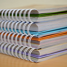 Publication (1)